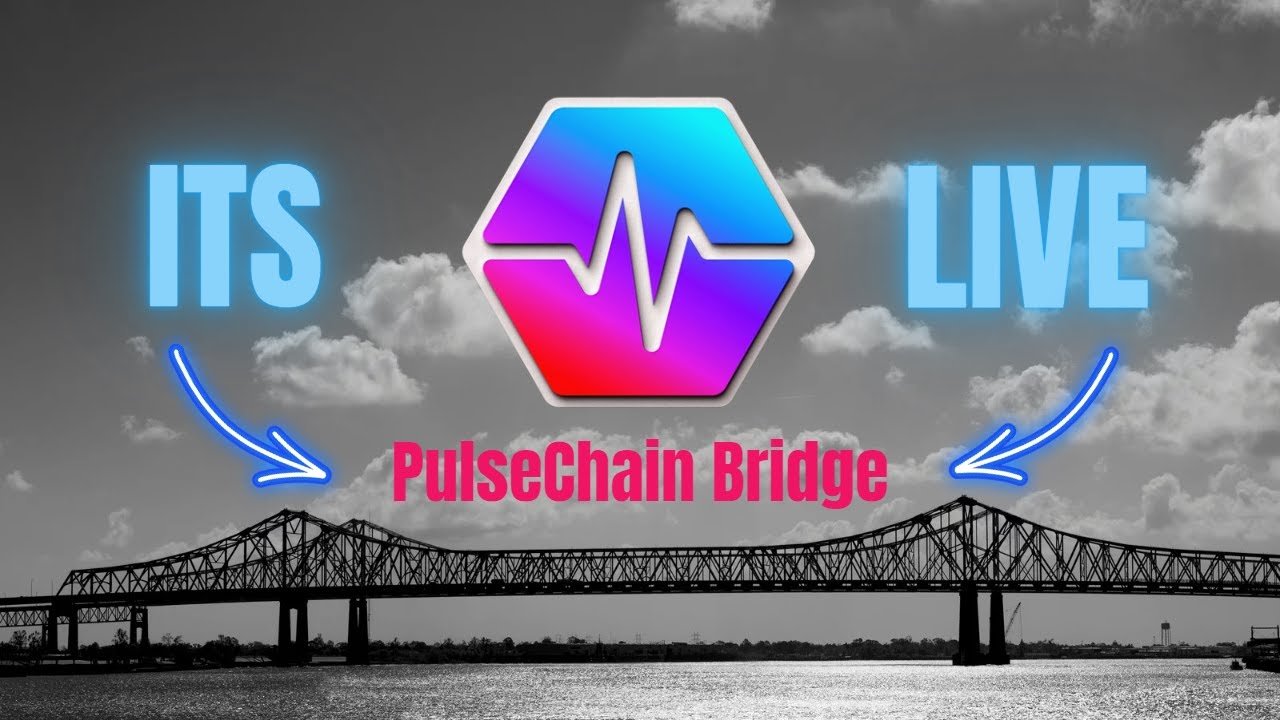 Your First Bridge